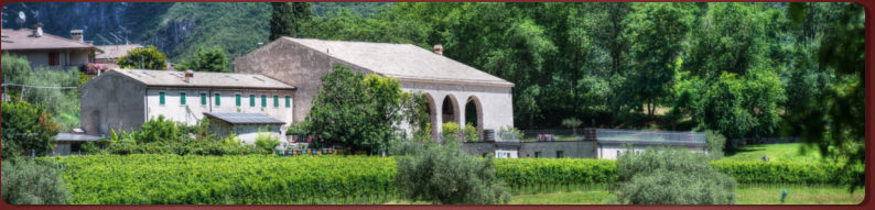 Azienda Vino metodo Champenoise Antico Fenilon - Valdadige