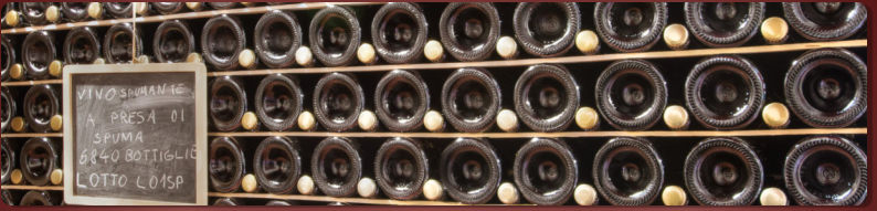 Lunga maturazione del Vino Spumante  di qualità Fenilon - Preabocco ( Val d'Adige)